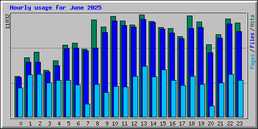Hourly usage for June 2025