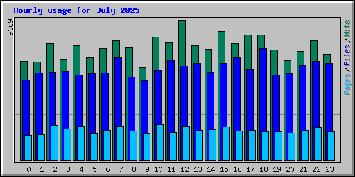 Hourly usage for July 2025