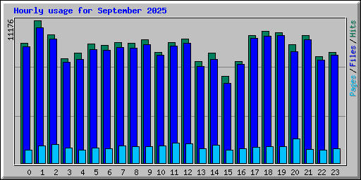 Hourly usage for September 2025