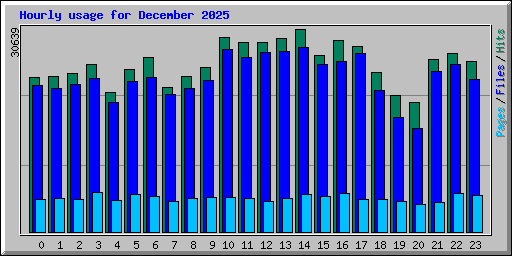 Hourly usage for December 2025