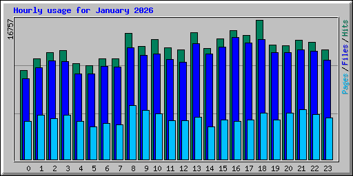 Hourly usage for January 2026