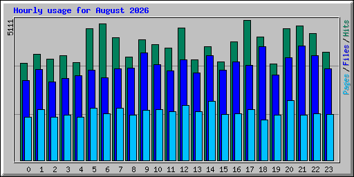 Hourly usage for August 2026